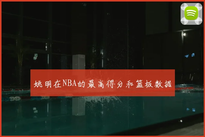 姚明在NBA的最高得分和篮板数据